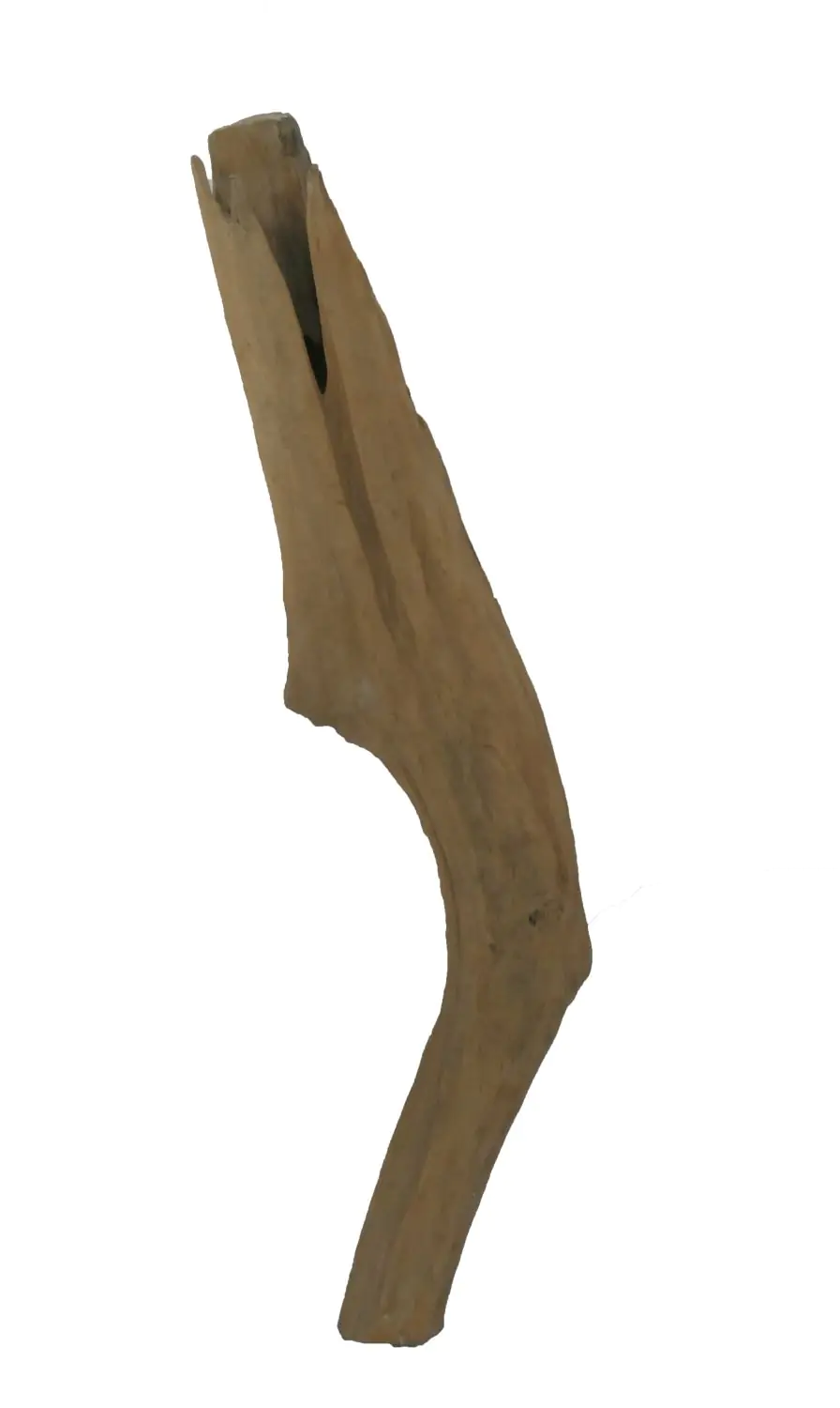  Product image 1 of the product “Root made of teak wood, around 95 - 130 cm Height. May vary shapes. ”